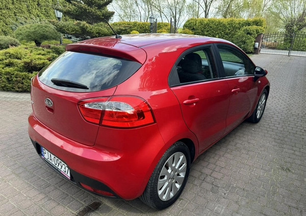 Kia Rio cena 24800 przebieg: 108000, rok produkcji 2011 z Świeradów-Zdrój małe 466